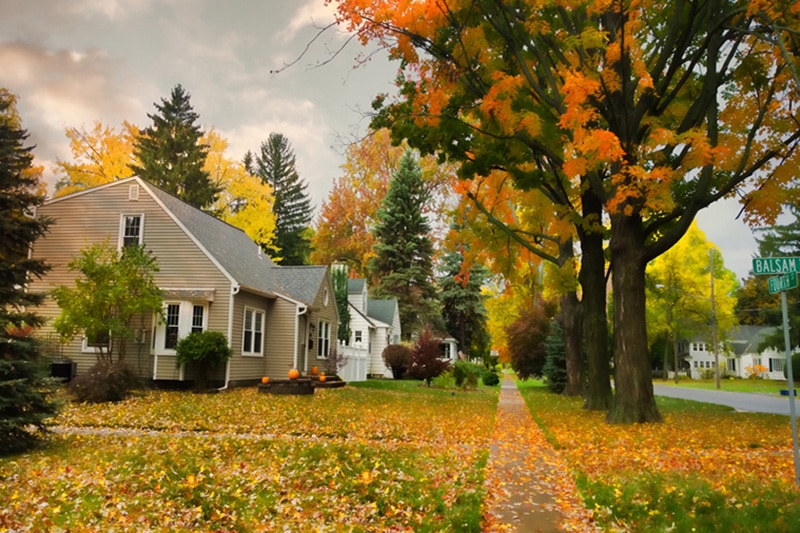 Fall street with fall color trees